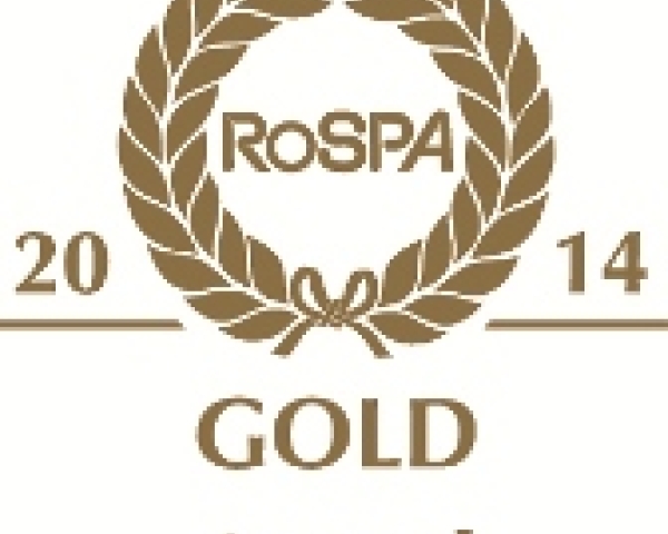 gold award 2014 for website.jpg